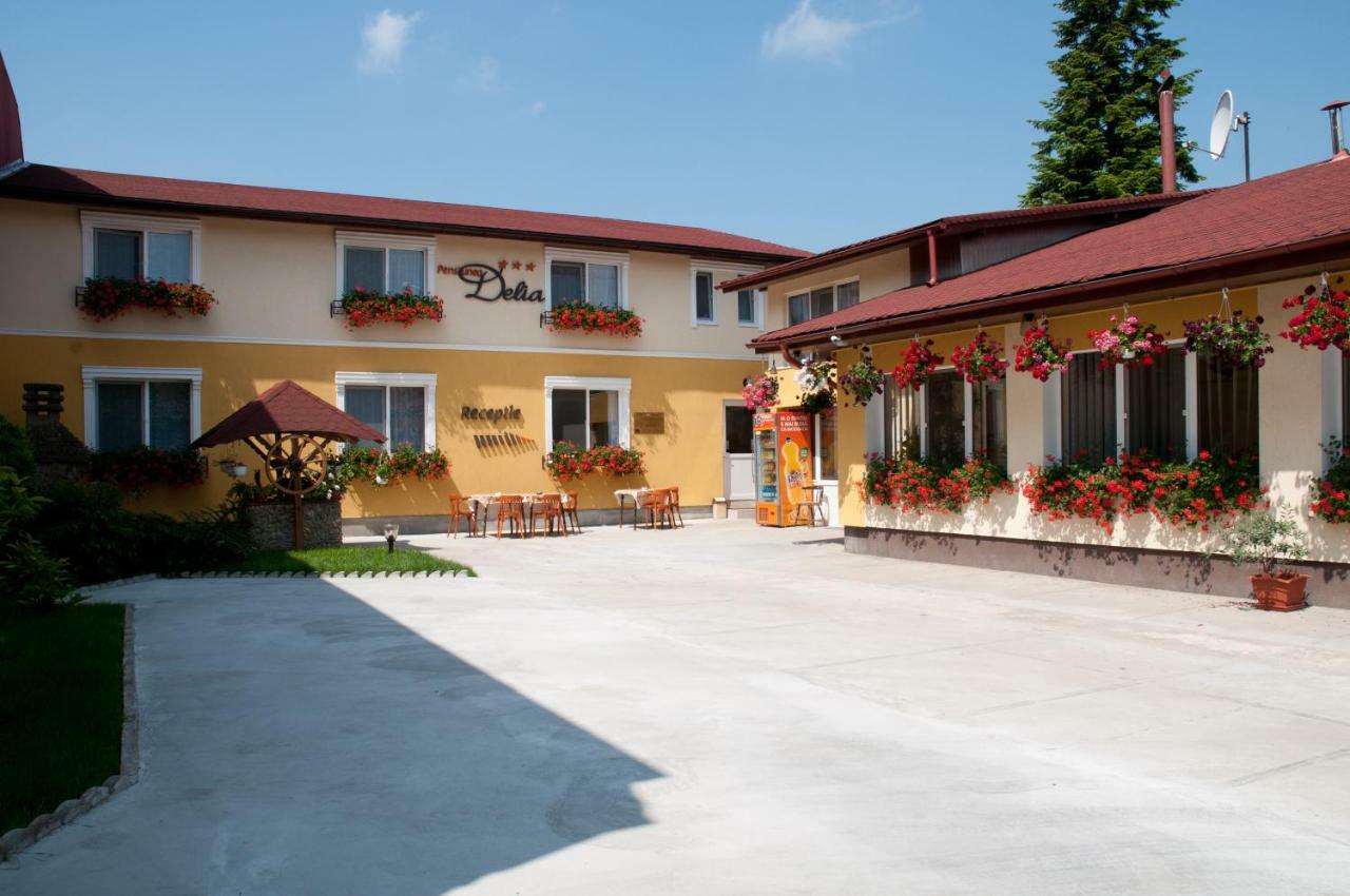 Pension Delia Gardens Timişoara Exterior foto