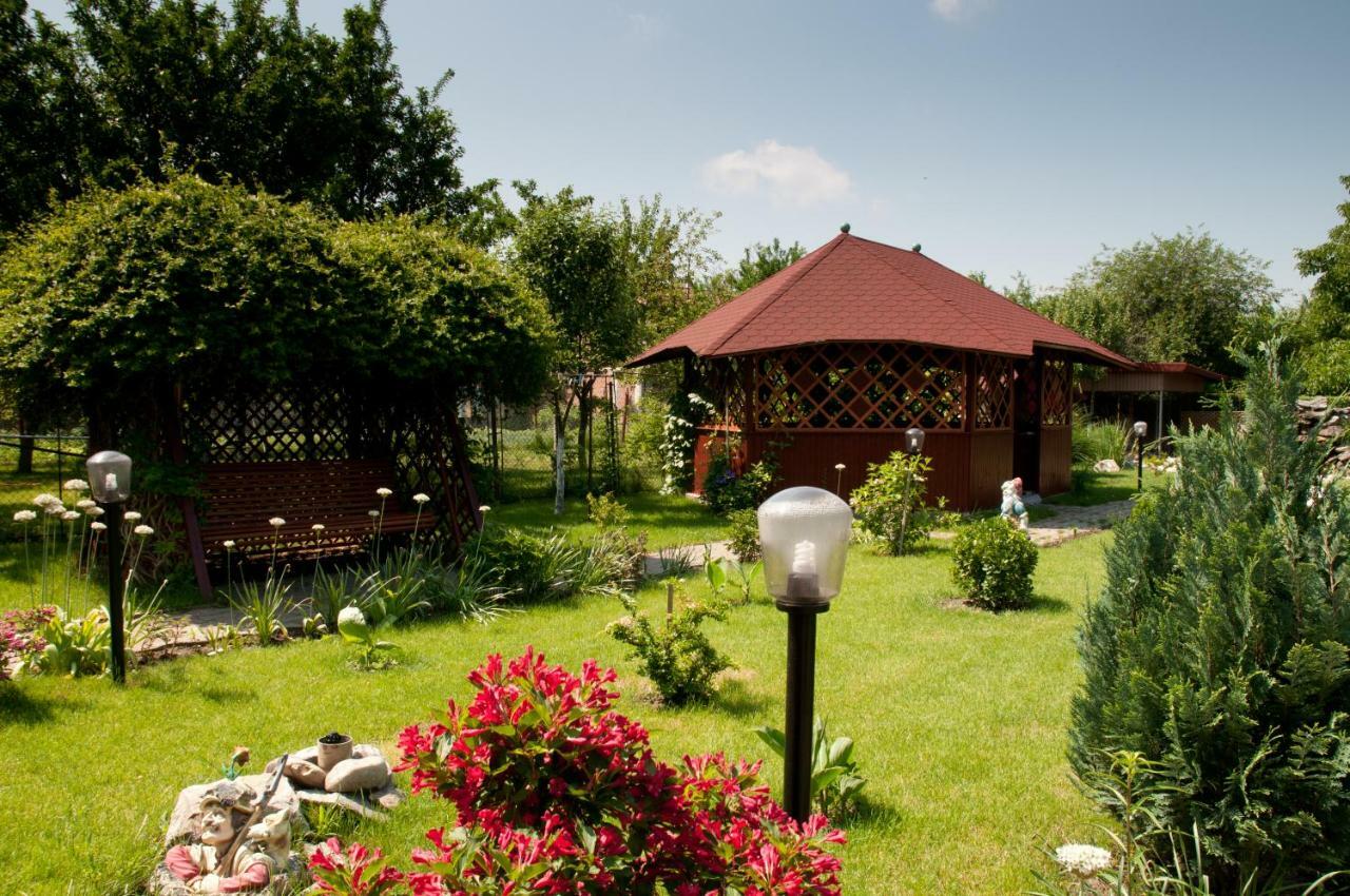 Pension Delia Gardens Timişoara Exterior foto