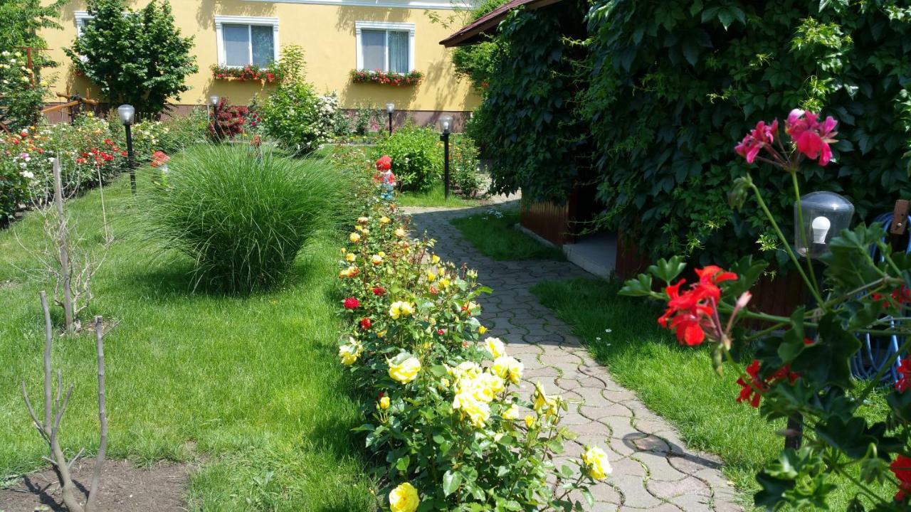 Pension Delia Gardens Timişoara Exterior foto