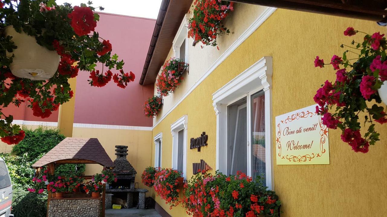 Pension Delia Gardens Timişoara Exterior foto