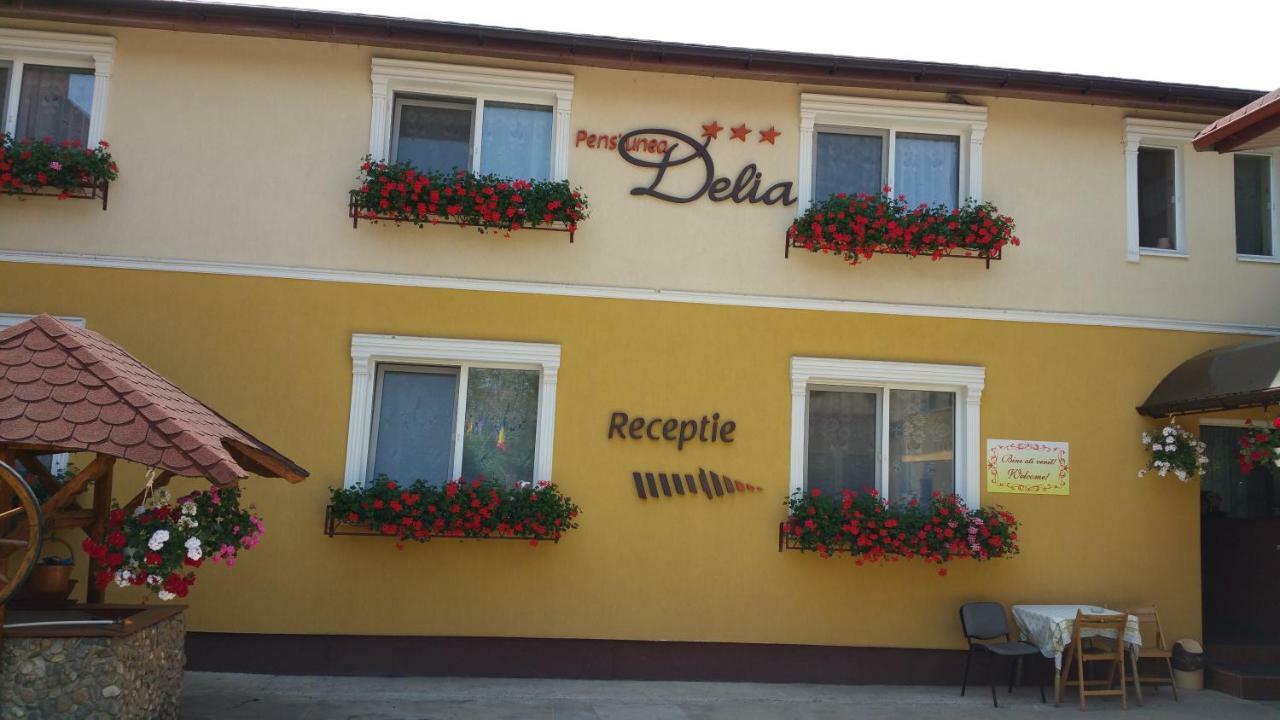 Pension Delia Gardens Timişoara Exterior foto