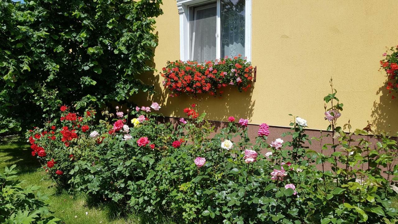 Pension Delia Gardens Timişoara Exterior foto