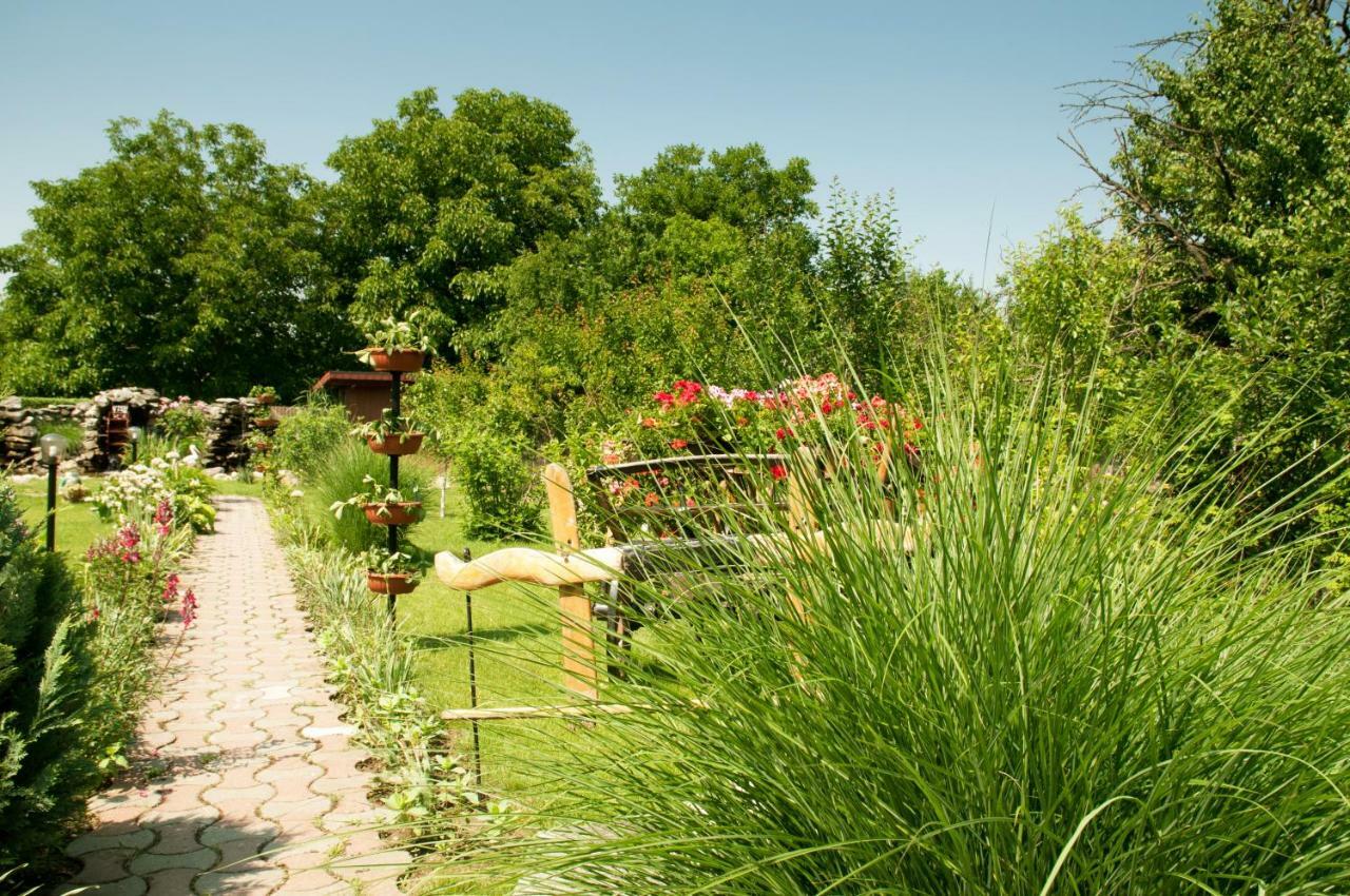 Pension Delia Gardens Timişoara Exterior foto