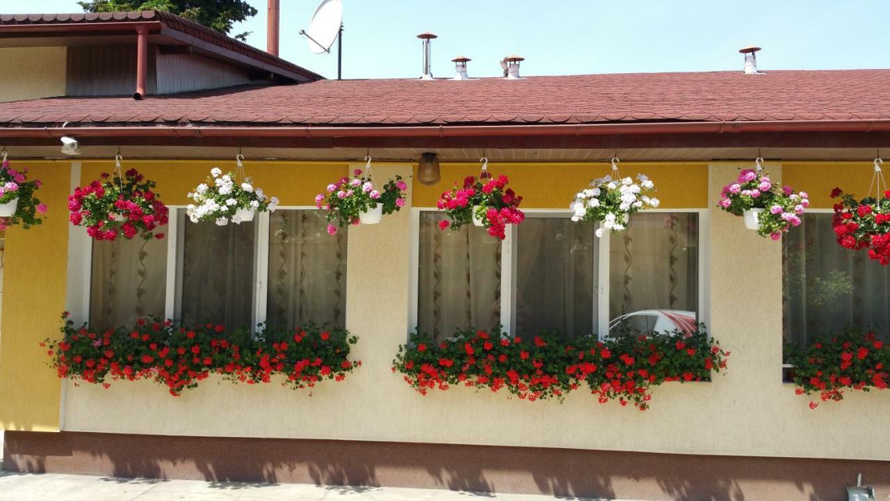 Pension Delia Gardens Timişoara Exterior foto