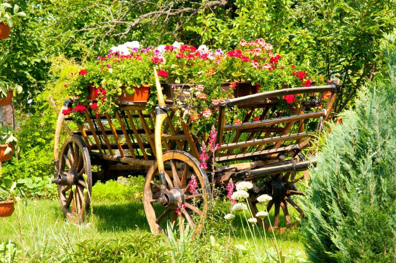 Pension Delia Gardens Timişoara Exterior foto